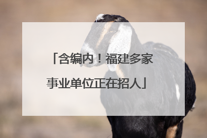 含编内！福建多家事业单位正在招人